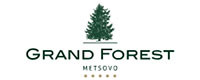 GRAND FOREST METSOVO