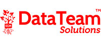 DATATEAM SOLUTIONS P.C.