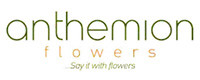 ANTHEMION FLOWERS