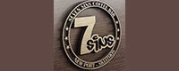 7 SINS