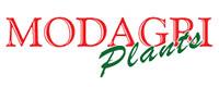 ΤΡΙΑΝΤΑΦΥΛΛΟΥ ΜΠΙΓΗ & ΣΙΑ ΟΕ - MODAGRIPLANTS
