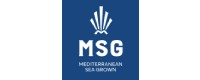 MSG GROUP